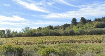 Ginestas Maison neuve - 2381668-692annonce1202601052IKLI.jpeg Maisons de Manon