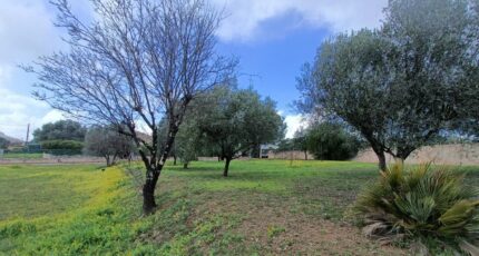 Roquebrune-sur-Argens Maison neuve - 2419777-9911annonce320260205gaJEt.jpeg Maisons de Manon
