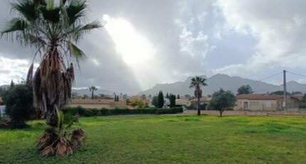 Roquebrune-sur-Argens Maison neuve - 2419777-9911annonce420260205ITORC.jpeg Maisons de Manon