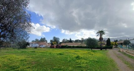 Roquebrune-sur-Argens Maison neuve - 2419777-9911annonce520260205JX8v4.jpeg Maisons de Manon