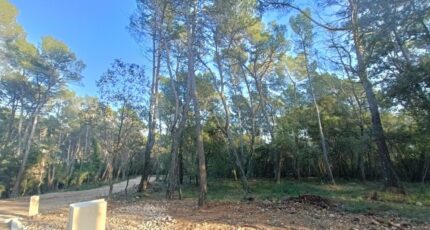 Lorgues Terrain à bâtir - 2419821-9911annonce120260205gNAO5.jpeg Maisons de Manon