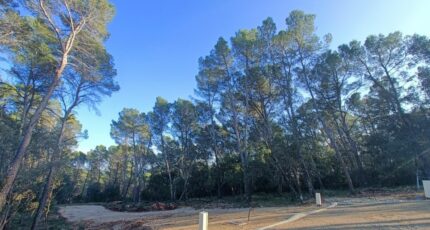 Lorgues Maison neuve - 2419839-9911annonce520260205duDJm.jpeg Maisons de Manon