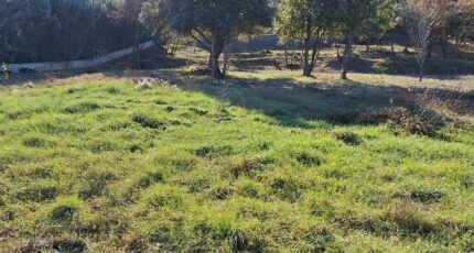 Saint-Paul-lès-Durance Maison neuve - 2419974-6932annonce120260205eNdDO.jpeg Maisons de Manon