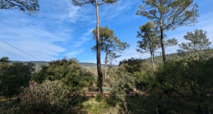 Garéoult Terrain à bâtir - 2426293-10744annonce120260212XgITA.jpeg Maisons de Manon