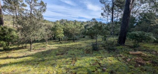 Terrain à bâtir à , Var