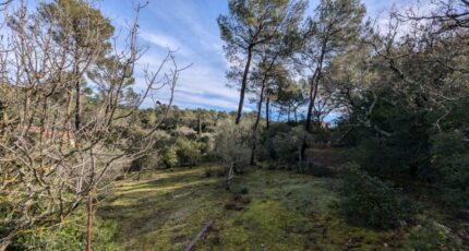 Garéoult Terrain à bâtir - 2426293-10744annonce3202602120VGmM.jpeg Maisons de Manon