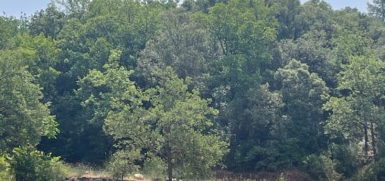 Terrain à bâtir à , Var