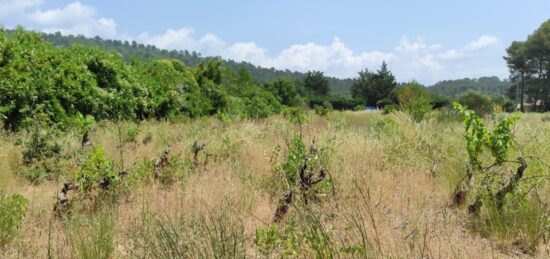 Terrain à bâtir à , Var