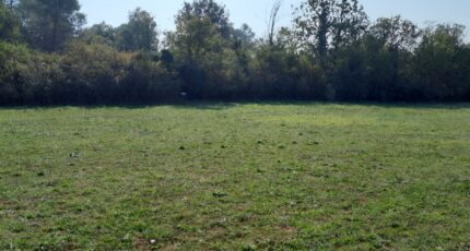 Saint-Maximin-la-Sainte-Baume Maison neuve - 2432703-10744annonce120251019AqDox.jpeg Maisons de Manon