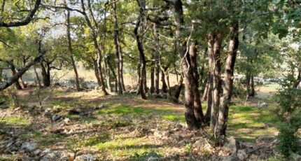 Saint-Maximin-la-Sainte-Baume Maison neuve - 2432703-10744annonce320251019dOXAV.jpeg Maisons de Manon