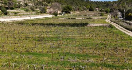 Cotignac Maison neuve - 2432715-10744annonce120250916bN7WE.jpeg Maisons de Manon