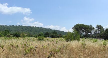 Garéoult Terrain à bâtir - 2432663-10744annonce3202507049VH2X.jpeg Maisons de Manon