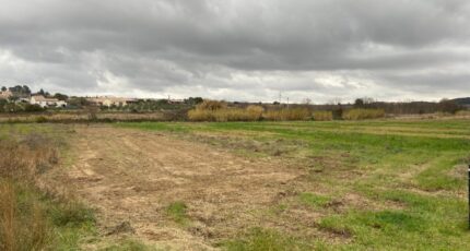 Puisserguier Maison neuve - 2411563-11018annonce220260129edCAq.jpeg Maisons de Manon