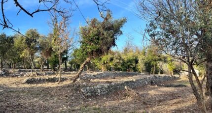 Mons Terrain à bâtir - 2444753-10140annonce220260302M8wxW.jpeg Maisons de Manon