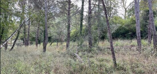 Terrain à bâtir à , Var