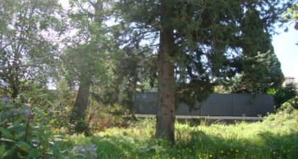 La Crau Terrain à bâtir - 2445061-11080annonce2202603026Vm3k.jpeg Maisons de Manon