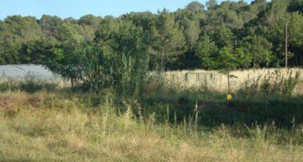 Pierrefeu-du-Var Terrain à bâtir - 2445101-11080annonce120260302wFGsZ.jpeg Maisons de Manon