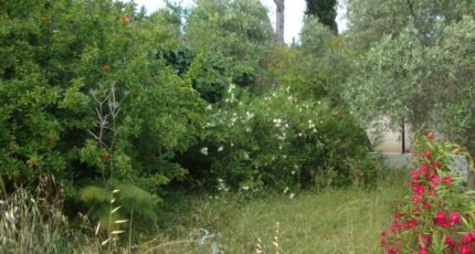 Pierrefeu-du-Var Terrain à bâtir - 2445101-11080annonce3202603021WroV.jpeg Maisons de Manon