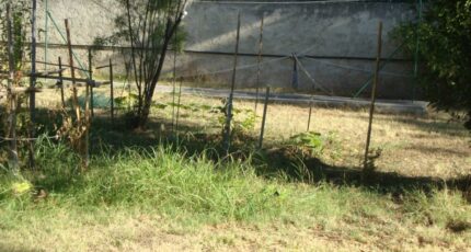 Cuers Terrain à bâtir - 2445138-11080annonce120260302iwQXB.jpeg Maisons de Manon