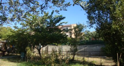 Cuers Terrain à bâtir - 2445138-11080annonce220260302dwWSv.jpeg Maisons de Manon