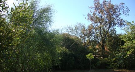 Cuers Terrain à bâtir - 2445138-11080annonce320260302lFggA.jpeg Maisons de Manon