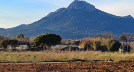 La Crau Terrain à bâtir - 2445181-11080annonce220260302y0xHT.jpeg Maisons de Manon