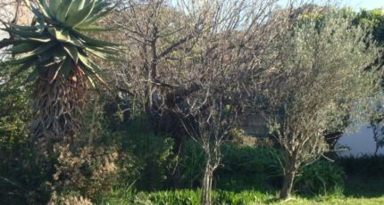 Pignans Terrain à bâtir - 2445204-11080annonce1202603029UFRu.jpeg Maisons de Manon