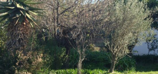 Terrain à bâtir à , Var