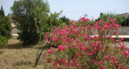 La Crau Terrain à bâtir - 2445240-11080annonce1202603022TvEx.jpeg Maisons de Manon