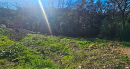 Opio Terrain à bâtir - 2445186-11719annonce1202603028sNAA.jpeg Maisons de Manon