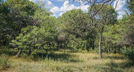 Salernes Terrain à bâtir - 2445350-11719annonce220260302IzzTB.jpeg Maisons de Manon