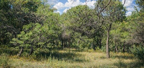 Terrain à bâtir à Salernes, Provence-Alpes-Côte d'Azur
