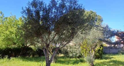 La Crau Maison neuve - 2445598-11080annonce120260303J3585.jpeg Maisons de Manon