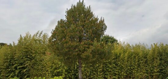 Terrain à bâtir à , Bouches-du-Rhône