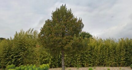 Fos-sur-Mer Maison neuve - 2402053-7054annonce220260122Txd5E.jpeg Maisons de Manon