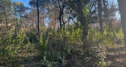 Gréasque Terrain à bâtir - 2410848-7060annonce420250827gxZtG.jpeg Maisons de Manon