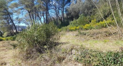 Grasse Terrain à bâtir - 2446338-1837annonce4202603036T1I3.jpeg Maisons de Manon