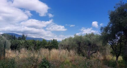 Opio Terrain à bâtir - 2446350-1837annonce2202603035aXOs.jpeg Maisons de Manon