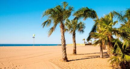 Sérignan Terrain à bâtir - 2448601-11018annonce320260305pz1JO.jpeg Maisons de Manon