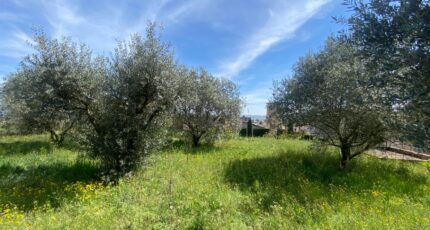 Sainte-Tulle Terrain à bâtir - 2448760-2970annonce120260305uFvrP.jpeg Maisons de Manon