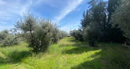 Sainte-Tulle Terrain à bâtir - 2448760-2970annonce220260305ifM5X.jpeg Maisons de Manon