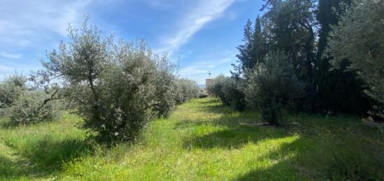 Terrain à bâtir à , Alpes-de-Haute-Provence