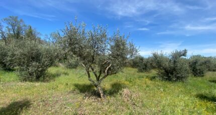 Sainte-Tulle Terrain à bâtir - 2448760-2970annonce320260305rxNvg.jpeg Maisons de Manon