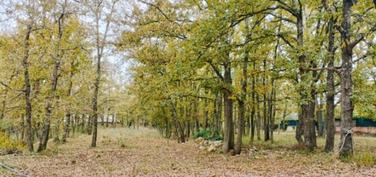 Terrain à bâtir à Trans-en-Provence, Provence-Alpes-Côte d'Azur