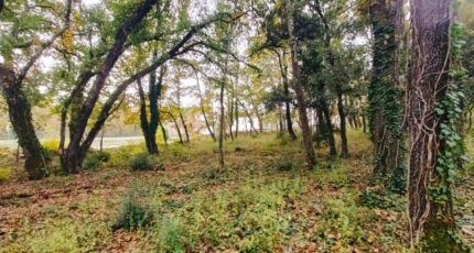 Trans-en-Provence Terrain à bâtir - 2449565-9911annonce2202603069F29Q.jpeg Maisons de Manon