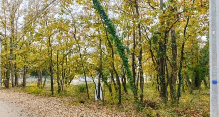 Trans-en-Provence Terrain à bâtir - 2449565-9911annonce320260306hxMvf.jpeg Maisons de Manon