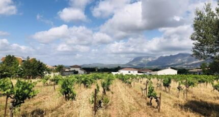 Pourrières Terrain à bâtir - 2450948-7060annonce220251113VMXoi.jpeg Maisons de Manon