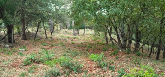 Terrain à bâtir à Saint-Maximin-la-Sainte-Baume, Provence-Alpes-Côte d'Azur