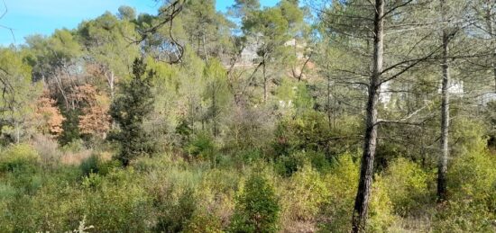 Terrain à bâtir à Brignoles, Provence-Alpes-Côte d'Azur