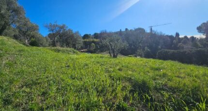 Grasse Terrain à bâtir - 2452534-11719annonce120260310TJdWK.jpeg Maisons de Manon